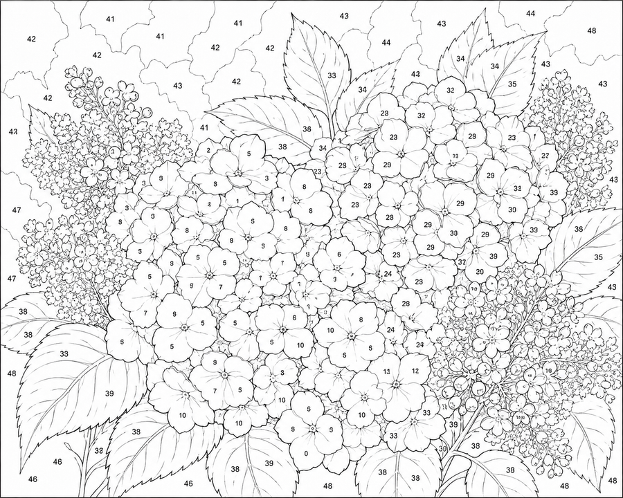 Hortensias Lilas
