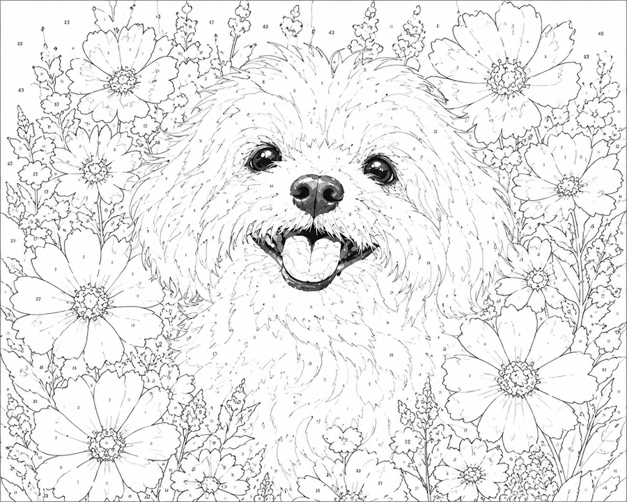 Bichon Fleuri