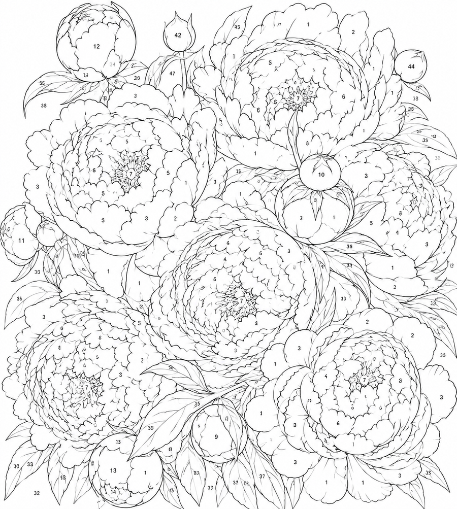 Pivoines Roses