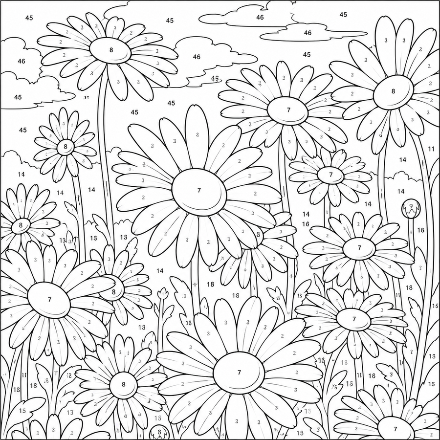 Marguerites Claires