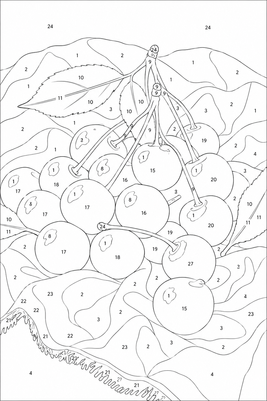 Cerises d'Été