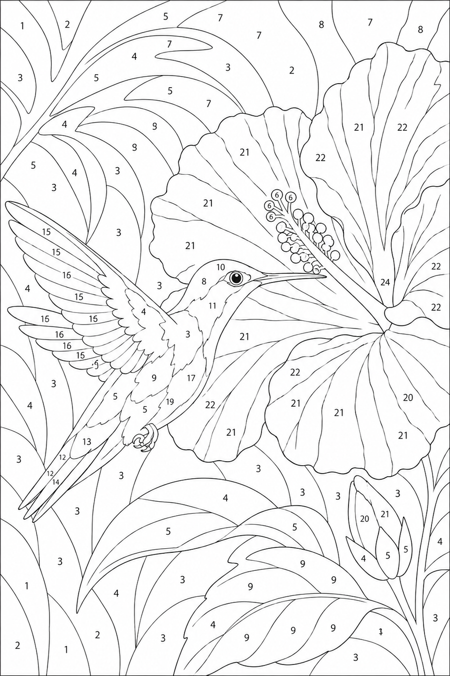 Colibri & Hibiscus
