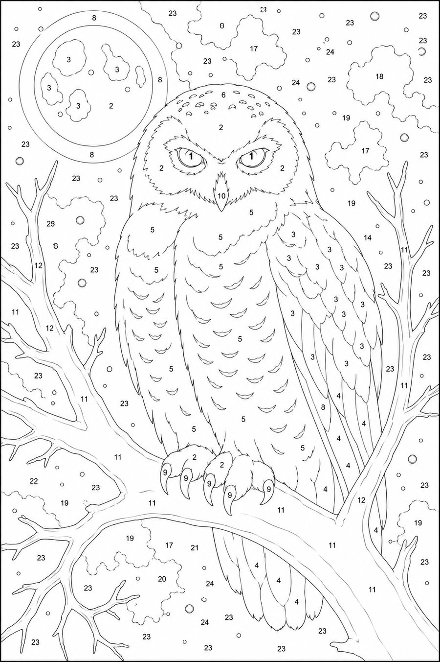 Hibou Lunaire